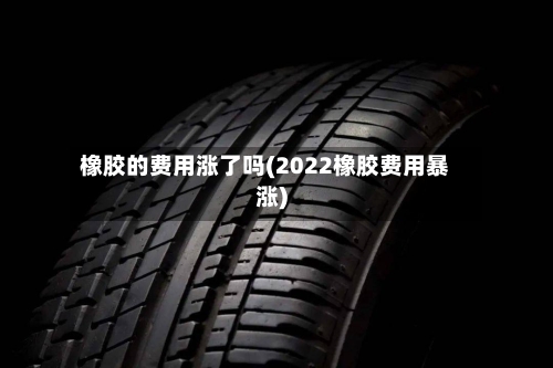橡胶的费用涨了吗(2022橡胶费用暴涨)-第2张图片