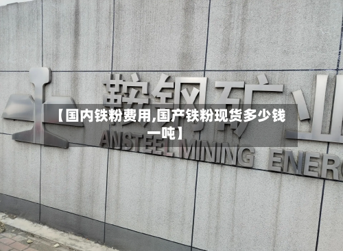 【国内铁粉费用,国产铁粉现货多少钱一吨】