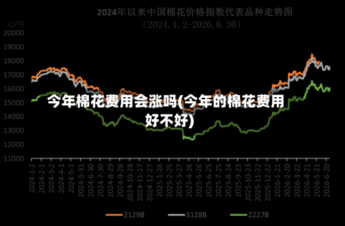 今年棉花费用会涨吗(今年的棉花费用好不好)