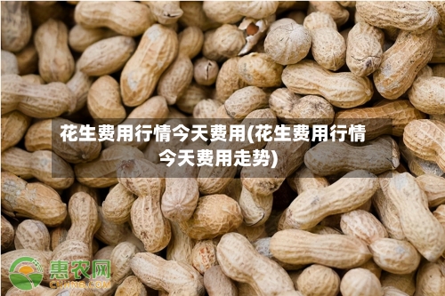 花生费用行情今天费用(花生费用行情今天费用走势)