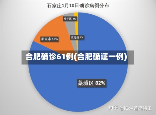 合肥确诊61例(合肥确证一例)