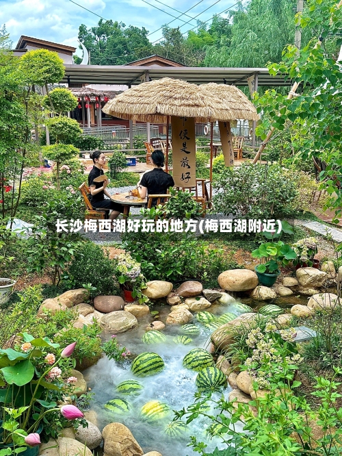 长沙梅西湖好玩的地方(梅西湖附近)-第3张图片