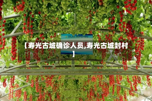 【寿光古城确诊人员,寿光古城封村】