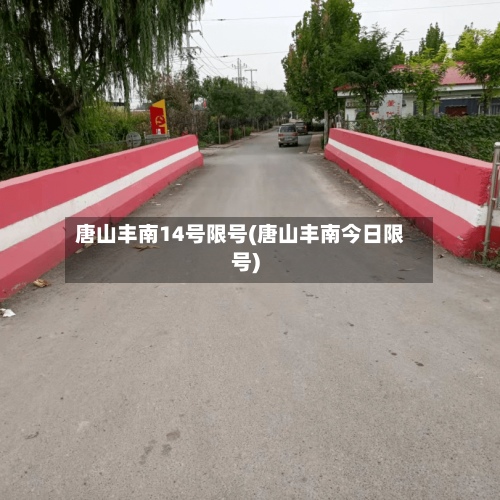 唐山丰南14号限号(唐山丰南今日限号)-第2张图片