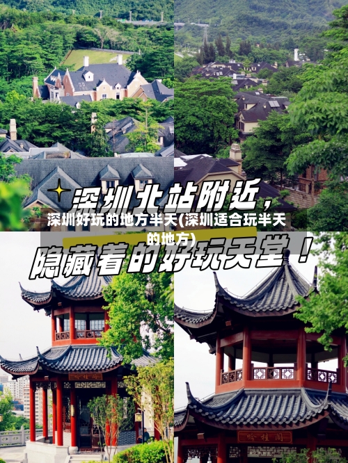深圳好玩的地方半天(深圳适合玩半天的地方)