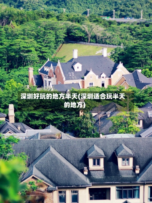 深圳好玩的地方半天(深圳适合玩半天的地方)-第2张图片
