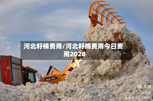 河北籽棉费用/河北籽棉费用今日费用2020