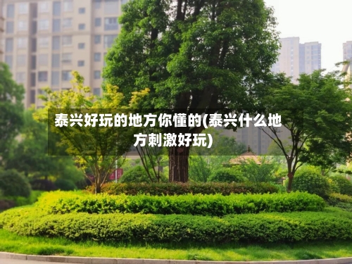 泰兴好玩的地方你懂的(泰兴什么地方刺激好玩)-第3张图片