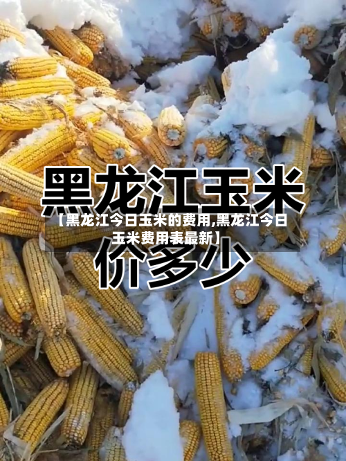 【黑龙江今日玉米的费用,黑龙江今日玉米费用表最新】-第2张图片