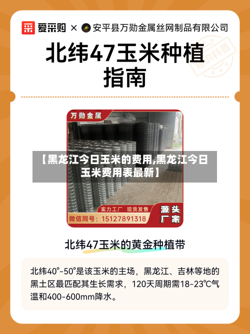 【黑龙江今日玉米的费用,黑龙江今日玉米费用表最新】