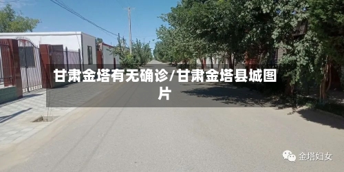 甘肃金塔有无确诊/甘肃金塔县城图片