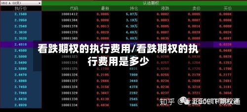 看跌期权的执行费用/看跌期权的执行费用是多少