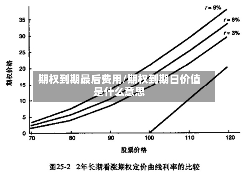 期权到期最后费用/期权到期日价值是什么意思-第2张图片