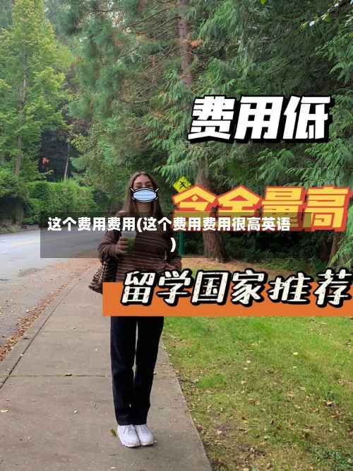 这个费用费用(这个费用费用很高英语)