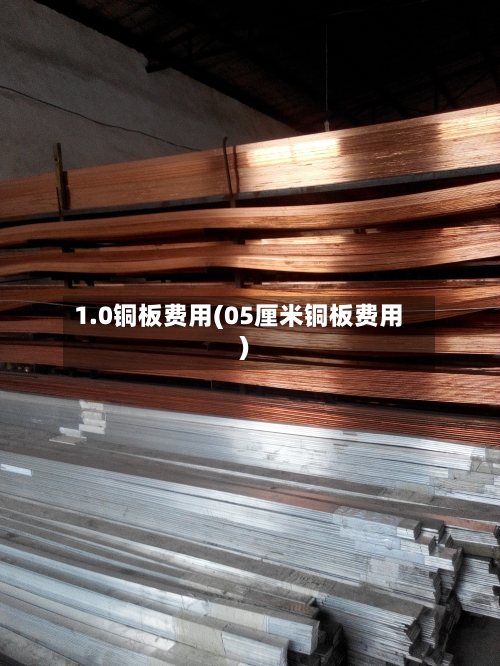 1.0铜板费用(05厘米铜板费用)-第3张图片