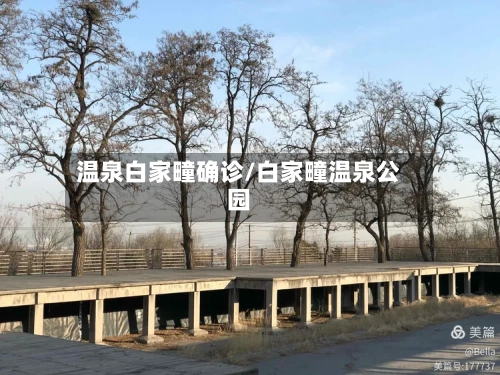 温泉白家疃确诊/白家疃温泉公园-第2张图片