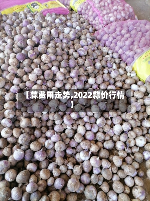 【蒜费用走势,2022蒜价行情】