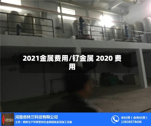 2021金属费用/钌金属 2020 费用