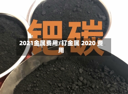 2021金属费用/钌金属 2020 费用-第2张图片