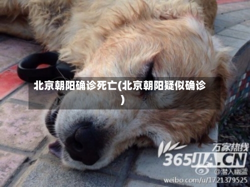 北京朝阳确诊死亡(北京朝阳疑似确诊)-第2张图片