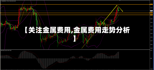 【关注金属费用,金属费用走势分析】-第3张图片