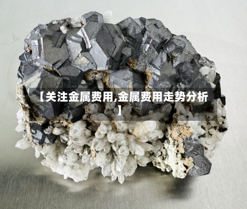 【关注金属费用,金属费用走势分析】