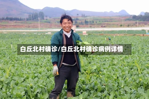 白丘北村确诊/白丘北村确诊病例详情-第2张图片