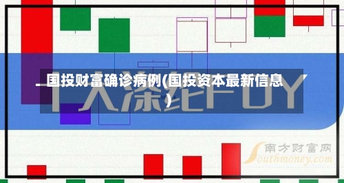 国投财富确诊病例(国投资本最新信息)-第2张图片