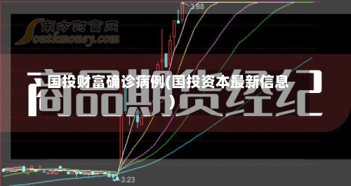 国投财富确诊病例(国投资本最新信息)-第3张图片