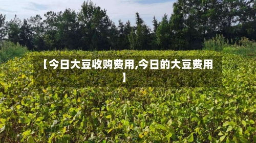 【今日大豆收购费用,今日的大豆费用】-第3张图片