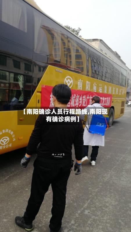 【南阳确诊人员行程路线,南阳现有确诊病例】-第2张图片