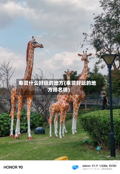 奉贤什么好玩的地方(奉贤好玩的地方排名榜)-第2张图片