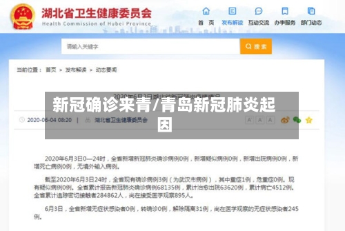 新冠确诊来青/青岛新冠肺炎起因-第2张图片