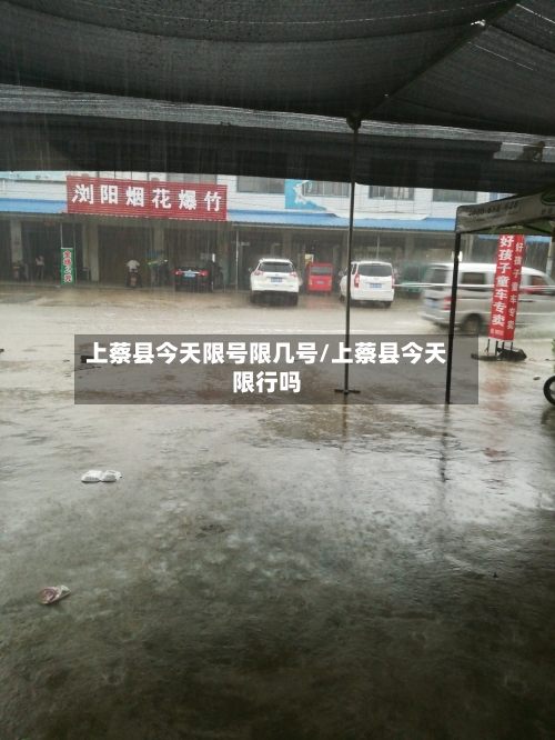 上蔡县今天限号限几号/上蔡县今天限行吗