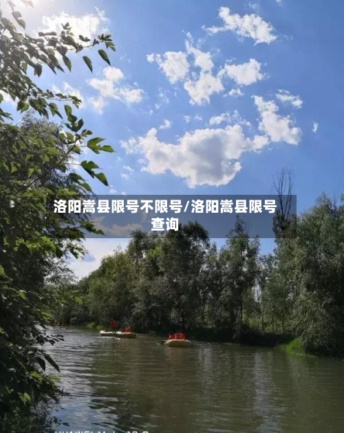 洛阳嵩县限号不限号/洛阳嵩县限号查询-第3张图片