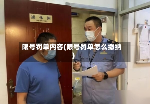 限号罚单内容(限号罚单怎么缴纳)