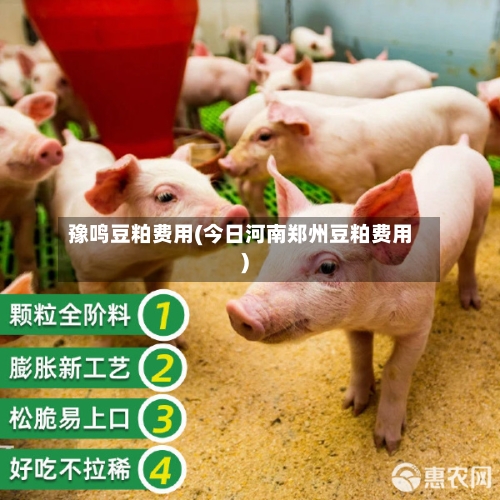 豫鸣豆粕费用(今日河南郑州豆粕费用)