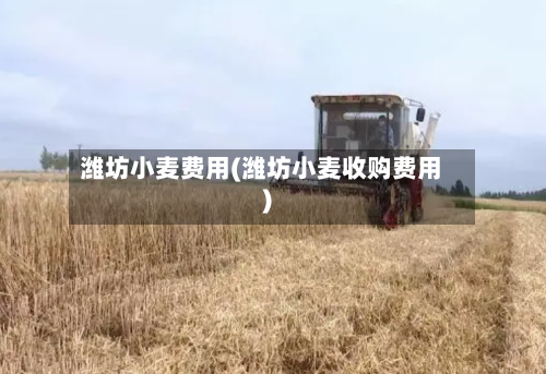 潍坊小麦费用(潍坊小麦收购费用)-第2张图片