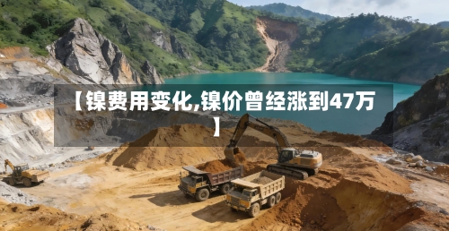 【镍费用变化,镍价曾经涨到47万】-第2张图片
