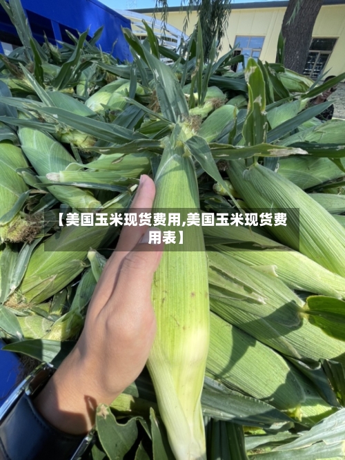 【美国玉米现货费用,美国玉米现货费用表】