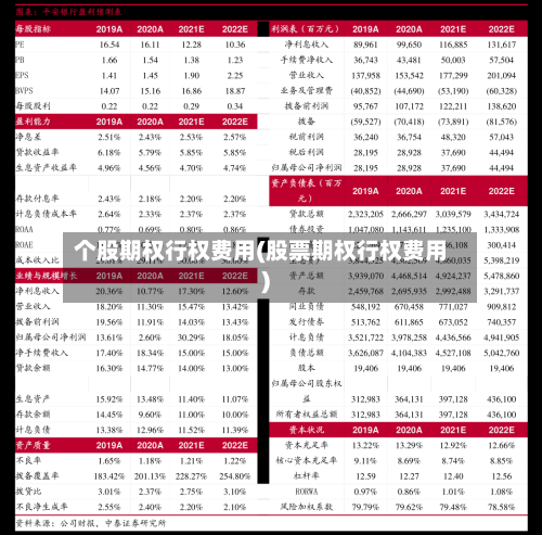个股期权行权费用(股票期权行权费用)