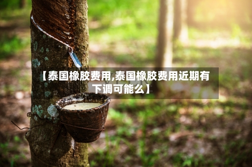 【泰国橡胶费用,泰国橡胶费用近期有下调可能么】-第2张图片