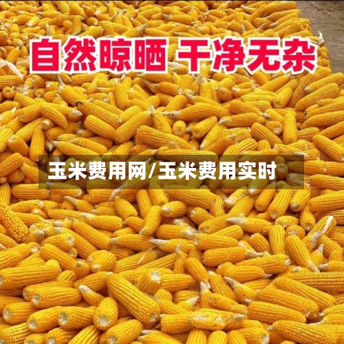 玉米费用网/玉米费用实时-第2张图片