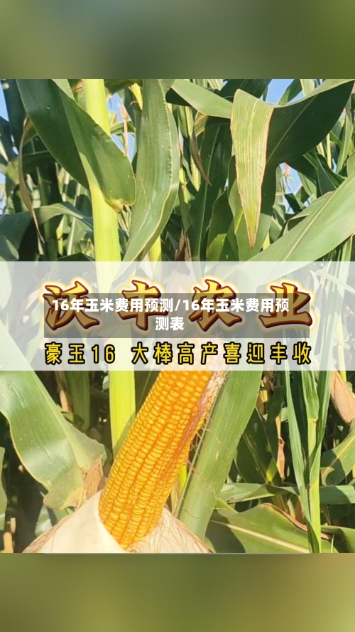 16年玉米费用预测/16年玉米费用预测表