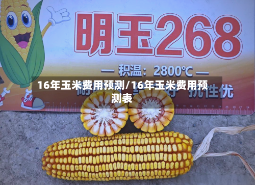 16年玉米费用预测/16年玉米费用预测表-第3张图片