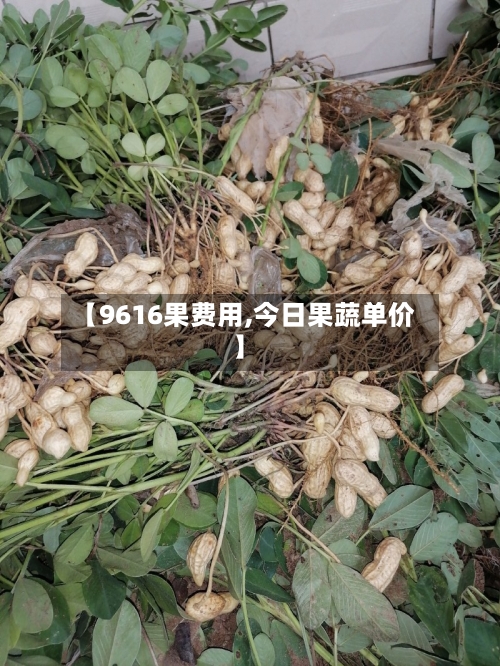 【9616果费用,今日果蔬单价】