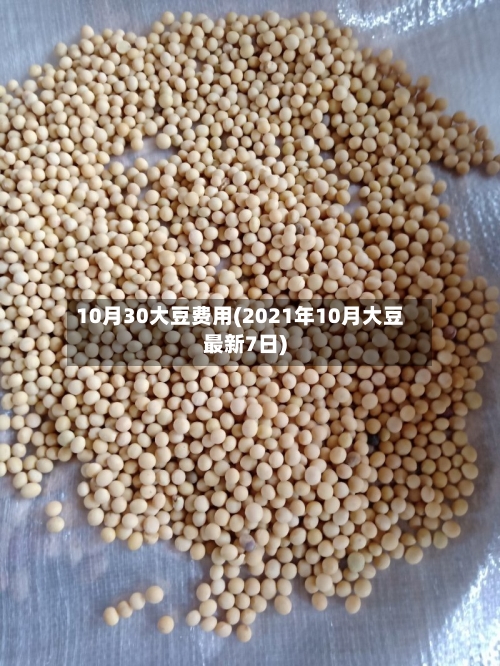 10月30大豆费用(2021年10月大豆最新7日)