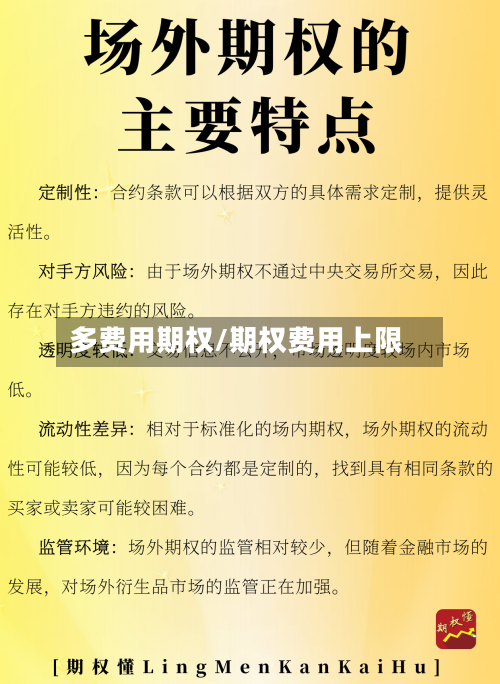 多费用期权/期权费用上限