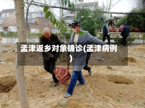 孟津返乡对象确诊(孟津病例)