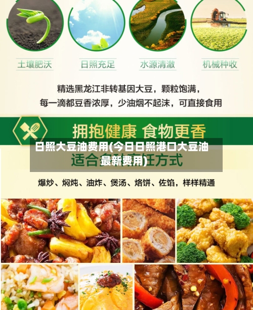 日照大豆油费用(今日日照港口大豆油最新费用)